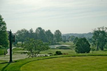 trees lining the golf course